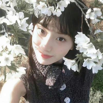 铁马骝